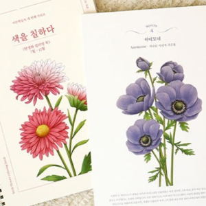 갤러리 도안 색칠공부 치매예방 컬러링북 국내생산