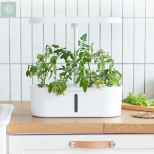 ÀÕÃ÷À£ Ȩ±×¸° ½Ä¹°Àç¹è±â