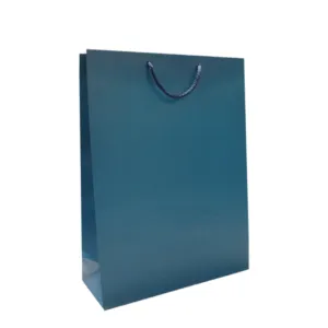 ���� ���̼��ι� 1ȣ(��û) (1����-50EA)(300x110x400mm)