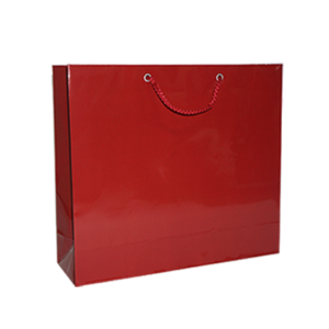 ⼺ ̼ι 3ȣ(ֻ) (1-50EA)(330x100x290mm)