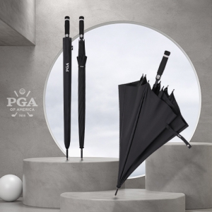 PGA 80ڵȭ̹ٹ
