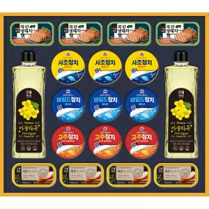 �����̾� �ܺ��� Hȣ