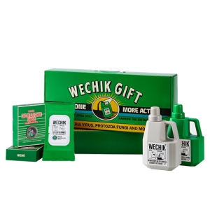 WECHIK Ģ 긮  Ʈ(C)