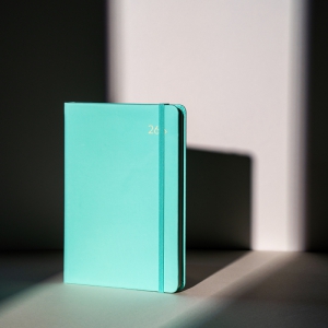 2026 DV PRO3 32Àý ´ÙÀ̾