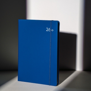 2026 DV PRO3Ç÷¯½º 25Àý ´ÙÀ̾ ³ëÆ®½Ä