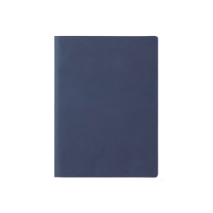 2026 25 Ʈ ⽺ ̾
