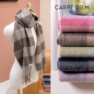 ī ׸׸ 100 ÷(MF043)