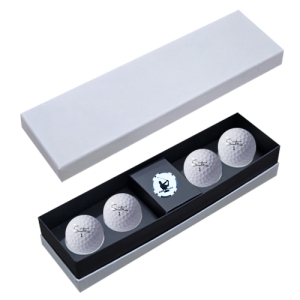 Ʈ N PRO 4 ĿĨ  ιٸ̽ SN4BC1