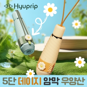 ���� 5��53 ������ �ϸ� 30D ���е� ����