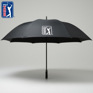 PGA 85�ڵ� ���� ���� ����