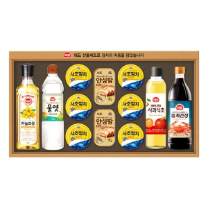 ������ǥ �Ƚ�Ư�� V53ȣ