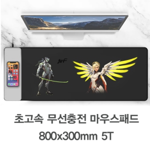 ���� �������� ���콺 ���е�(800x300mm/5T)