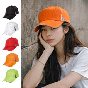 NS-1738 �ݻ�� ��ĸ