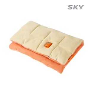 ��ī�� �ɾ� USB �� �ڵ� ���� ���� ������