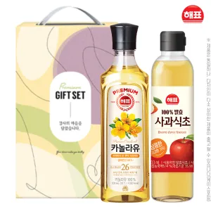 ��ǥ ī����� �������500ml(2��)