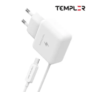 ���÷� 2.1A ��ü�� CŸ�� ������