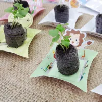 ��Ʋ���� ��������Ʈ (6.5*9cm)