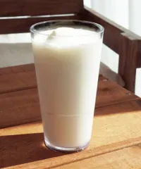 [Ƽ��ī��] �������� ��Ƽ��19 (SAN) 560ml