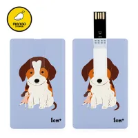 �������丮�� ī���� USB�޸� (4GB~128GB)