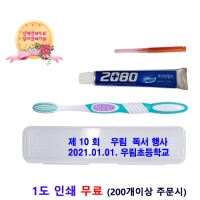 2080 이중미세모치간세트