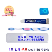 2080 이중미세모치실세트