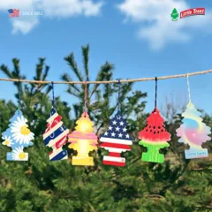 ��ƲƮ�� ������ 1P