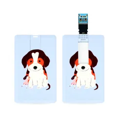 �������丮�� ī���� USB3.0�޸�(16GB~128GB)