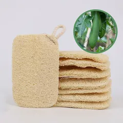 ���ī�� ģȯ�� �Ĺ� ������