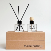 FINE 센트포유 디퓨저120ml + 차량용디퓨저120ml 2구 세트 D35