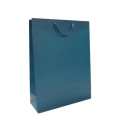 ���� ���̼��ι� 1ȣ(��û) (1����-50EA)(300x110x400mm)