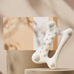 ���� ���� ������