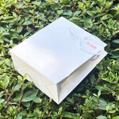 [�ֹ�����] ���̼��ι�_�ǰ���ǰ (250x100x270mm)