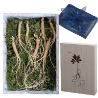 ȿõ ���� ����� 7��� 7�Ѹ� ������Ʈ