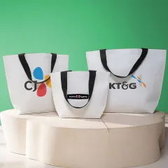 ģȯ�� R-PET ���е� ���������� (�� �� ��)