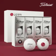 Ÿ��Ʋ����Ʈ PRO V1X �ιٸ����̽� (6�� 9�� 12��)