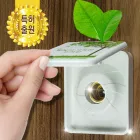 ��ǰ ����1