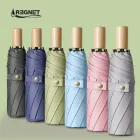 ��ǰ ����1