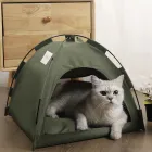 ��ǰ ����1