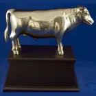 ��ǰ ����2