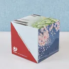 ��ǰ ����2