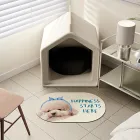 ��ǰ ����2