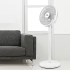 ��ǰ ����3