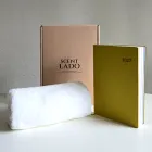 ��ǰ ����3