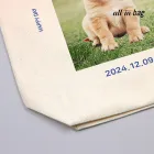 ��ǰ ����3