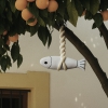 ��ǰ ����3