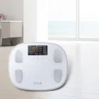 ��ǰ ����3