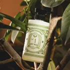 ��ǰ ����3