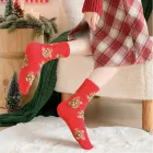 ��ǰ ����3