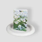 ��ǰ ����4