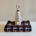 ��ǰ ����4